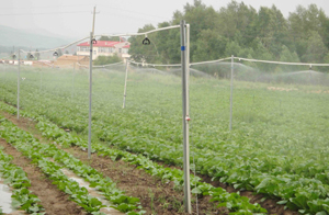 遼寧省阜新市彰武縣噴灌項目